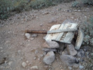 photo thumbnail #1