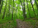 photo thumbnail #11
