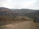 photo thumbnail #10