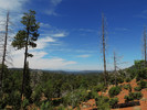photo thumbnail #4