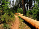 photo thumbnail #9