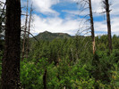 photo thumbnail #12
