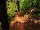 photo thumbnail #13