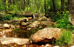 photo thumbnail #14