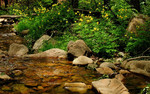 photo thumbnail #15