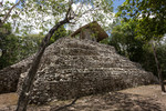 photo thumbnail #11