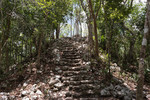 photo thumbnail #14