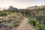 photo thumbnail #6