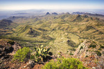 photo thumbnail #9