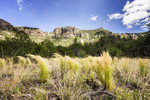photo thumbnail #14
