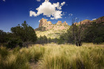 photo thumbnail #15