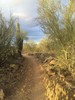 photo thumbnail #4