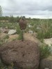 photo thumbnail #6