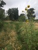 photo thumbnail #11