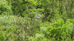 photo thumbnail #15
