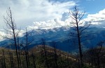 photo thumbnail #9