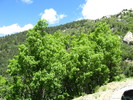 photo thumbnail #8