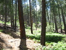 photo thumbnail #13