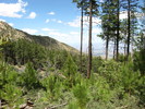 photo thumbnail #15