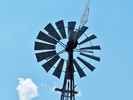 photo thumbnail #13