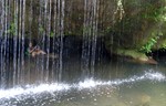 photo thumbnail #13