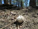 photo thumbnail #6