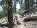 photo thumbnail #5