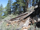 photo thumbnail #2
