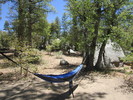 photo thumbnail #7