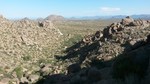 photo thumbnail #7