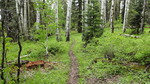 photo thumbnail #6