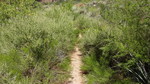 photo thumbnail #11