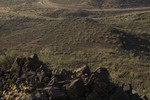photo thumbnail #12