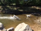 photo thumbnail #3