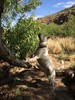 photo thumbnail #5