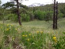photo thumbnail #6