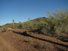 photo thumbnail #2