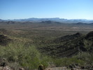 photo thumbnail #5