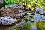 photo thumbnail #9