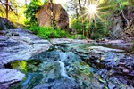photo thumbnail #10
