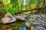 photo thumbnail #13