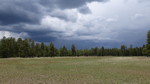 photo thumbnail #15