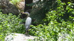 photo thumbnail #13
