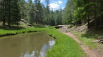 photo thumbnail #11