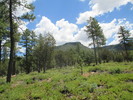 photo thumbnail #1