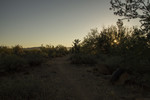 photo thumbnail #3