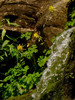 photo thumbnail #15