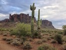 photo thumbnail #1