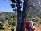 photo thumbnail #3