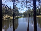 2015-06-13 :1: Highline - Woods - Willow Spring Lakes Loop :: rayhuston
